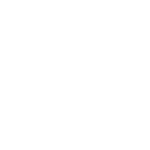 Logo blanco-trans IRP-UPV – Footer