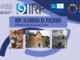 JORNADAS 2025: «IRP ILUMINA EL PASADO. EL IRP/UPV CON EL PATRIMONIO ANEGADO POR LA DANA»