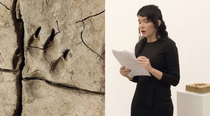 El IRP-UPV y el Departamento de Escultura colaboran en la conservación de las obras de Lluci Juan creadas con el barro de la DANA de 2024