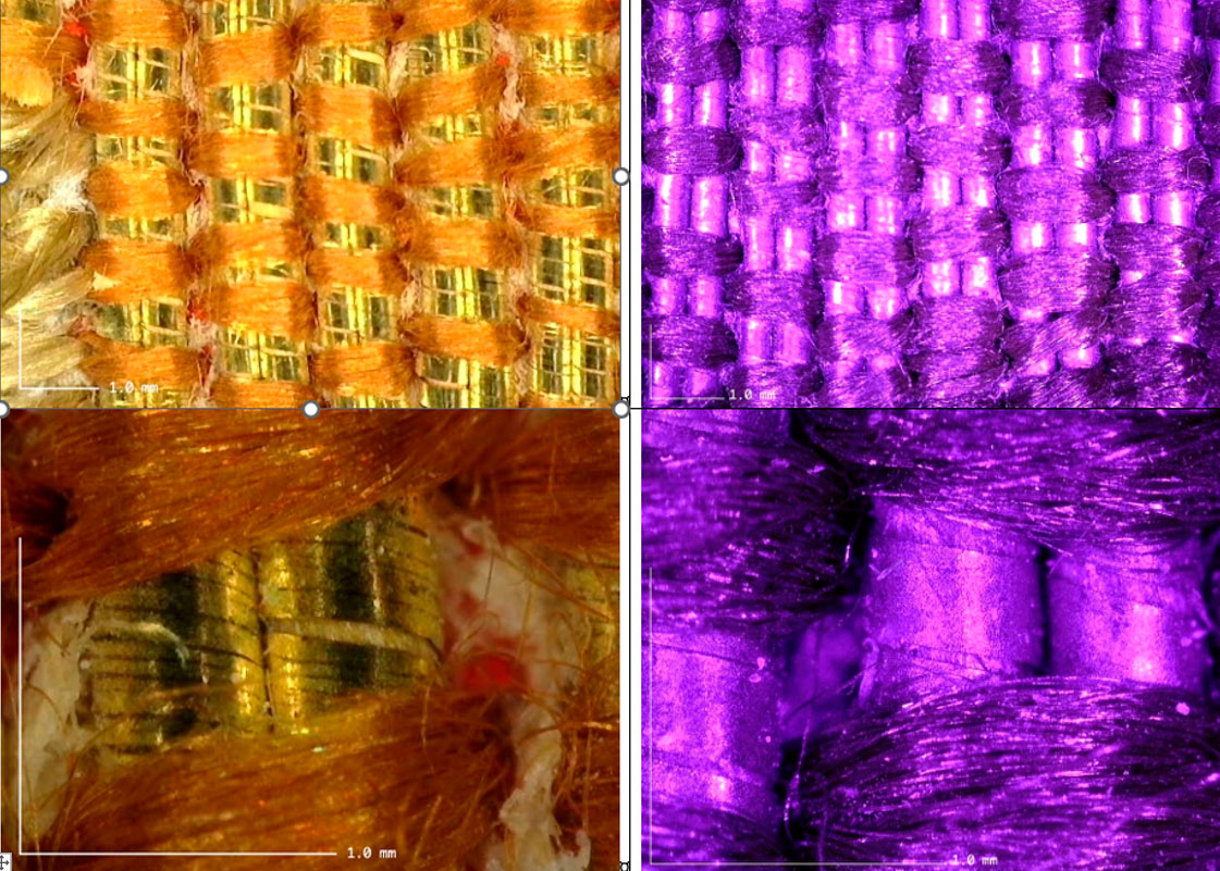 Detalles de microfotografías a 50 y 200 aumentos